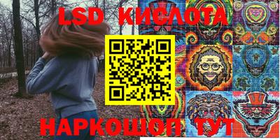 PSILOCYBIN Моздок