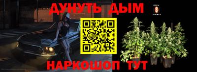 PSILOCYBIN Моздок
